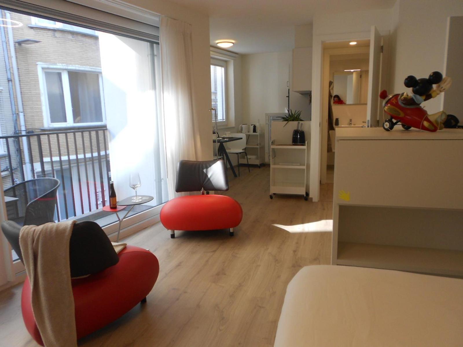 Kraaiberg Luxe Studio أوستيند المظهر الخارجي الصورة